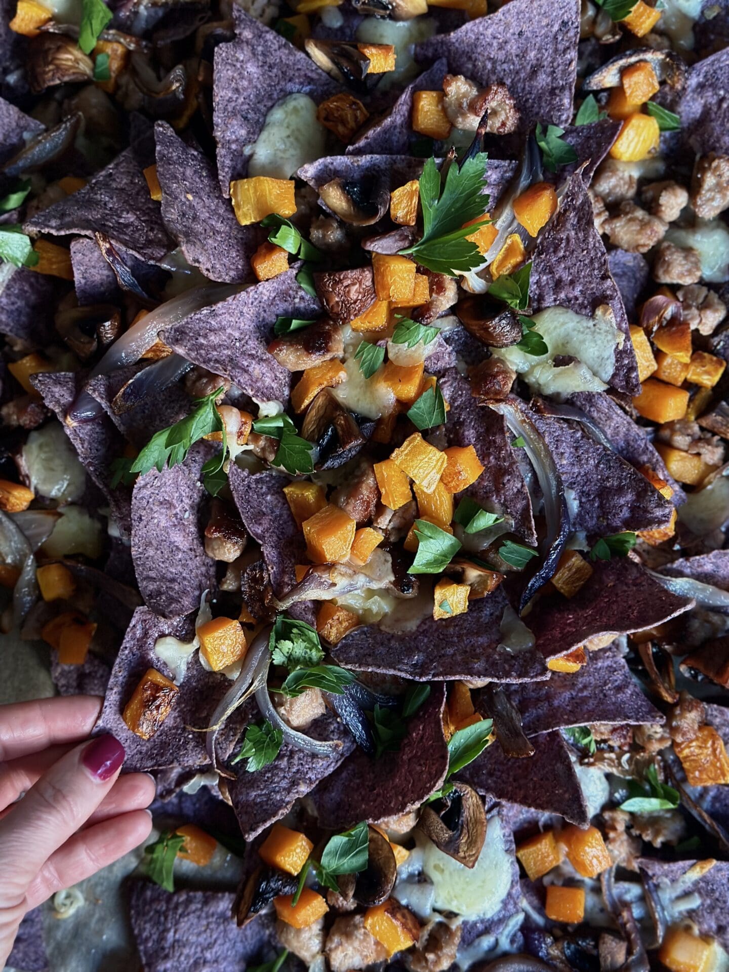 IMG_0295 A tray of homemade blue corn harvest nachos is seen from above with a hand reaching in