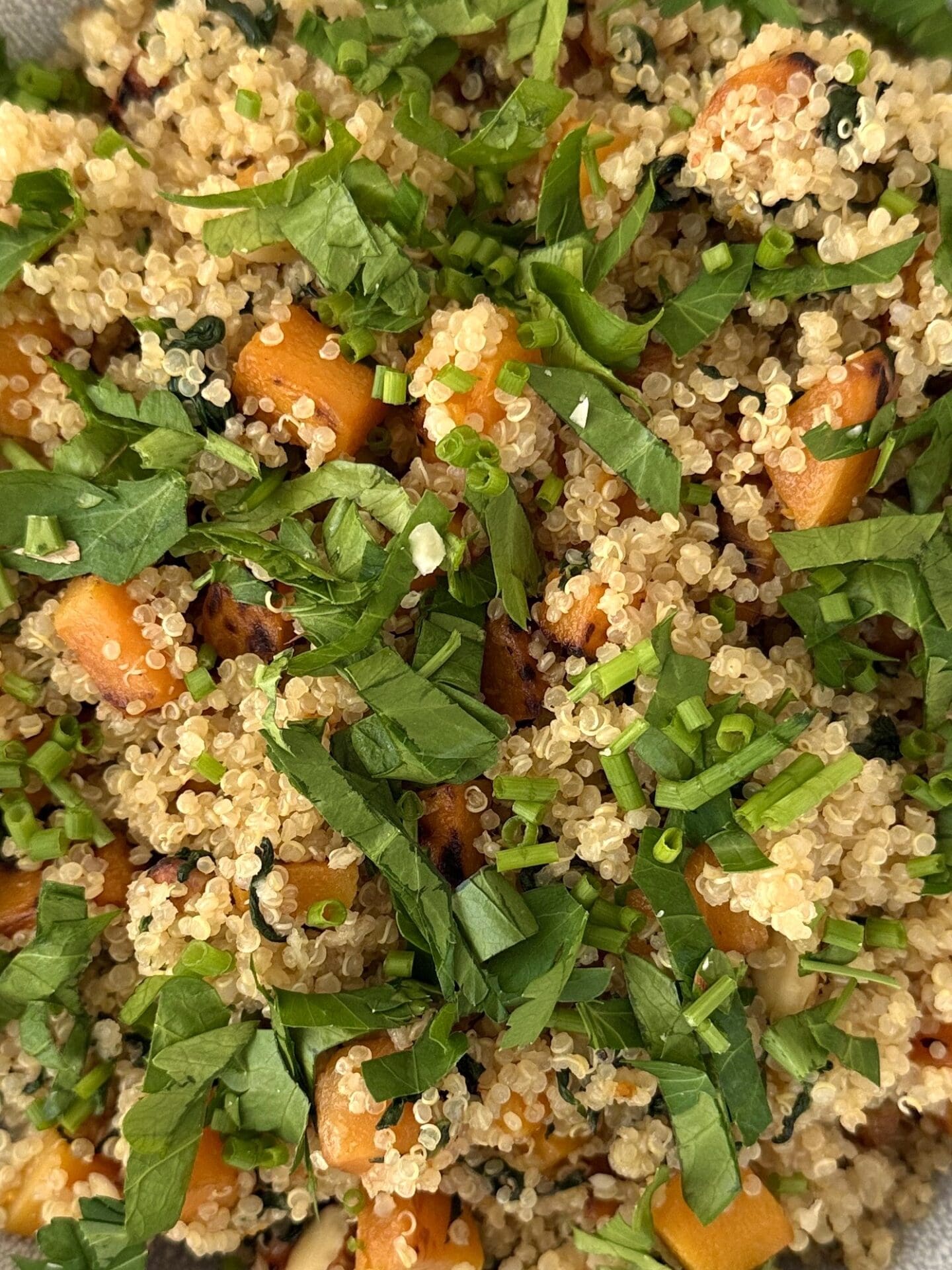 A close up photo of quinoa salad with butternut squash, spinach and crunchy almonds. The salad is topped with a heavy sprinkling of chopped fresh parsley and chives.