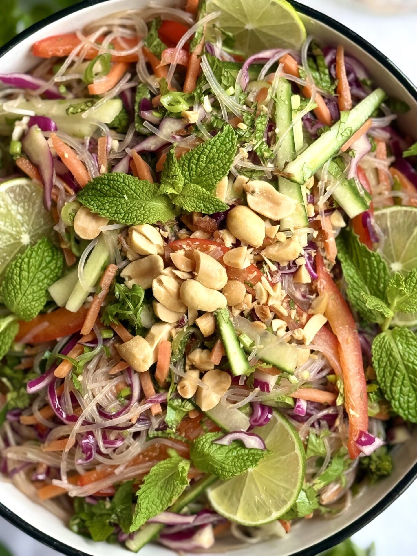 IMG_6424 A bowl of Spring Roll Noodle Salad is seen from above, featuring colourful and crisp vegetables, thin rice noodles and lots of fresh herbs. Crushed peanuts are sprinkled over top and lime wheels are tucked in an amongst the noodles as garnish.