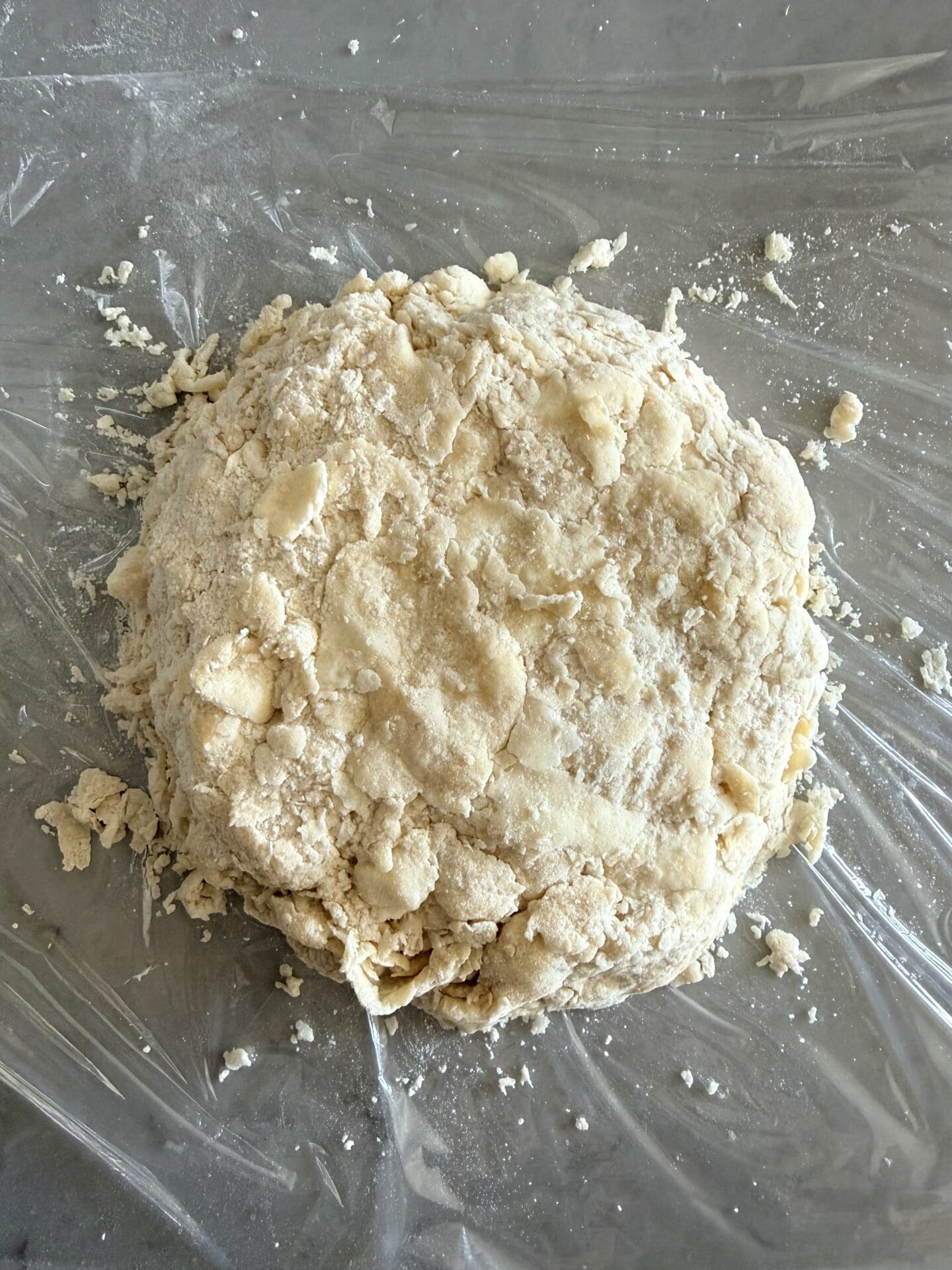 IMG_8414 A rough, shaggy pastry dough is seen from above, before resting and chilling.