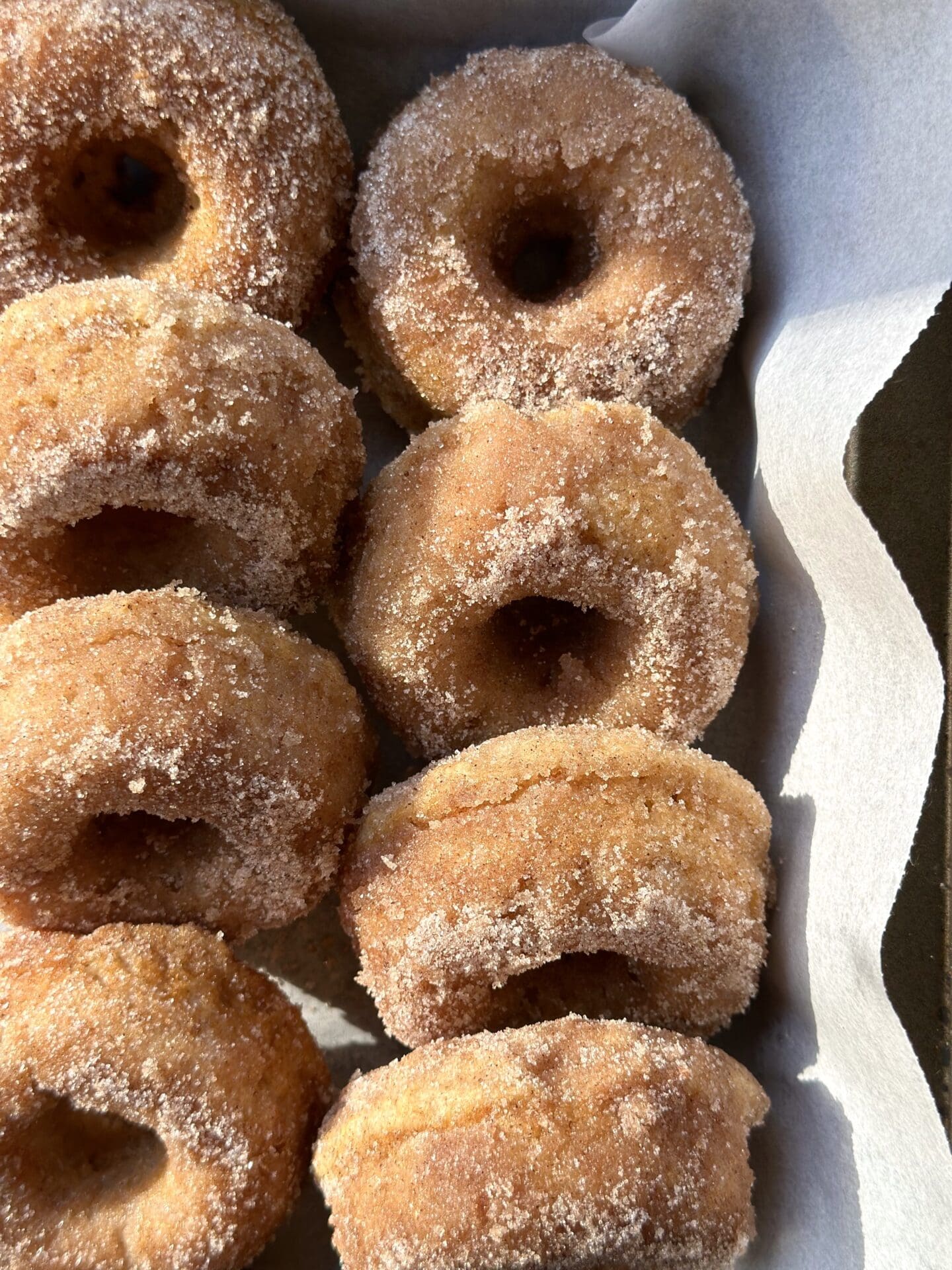 Rows of freshly baked Cinnamon Sugar Donuts are packed in a parchment lined container for a picnic